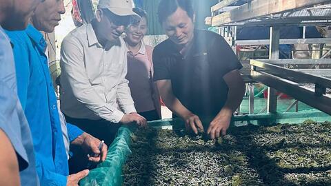 Long Phụng: HĐND xã khảo sát các mô hình nông nghiệp VietGap, nông nghiệp sạch, nông nghiệp hữu cơ trên địa bàn